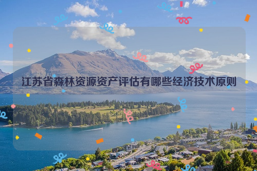 江蘇省森林資源資產評估有哪些經濟技術原則