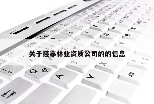 關于掛靠林業資質公司的的信息
