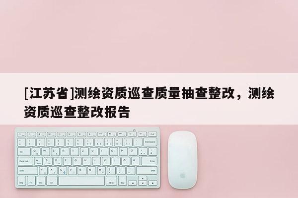 [江蘇省]測繪資質巡查質量抽查整改，測繪資質巡查整改報告