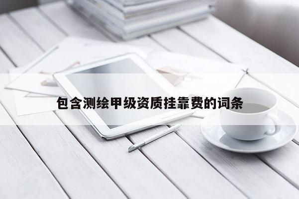 包含測繪甲級資質(zhì)掛靠費的詞條