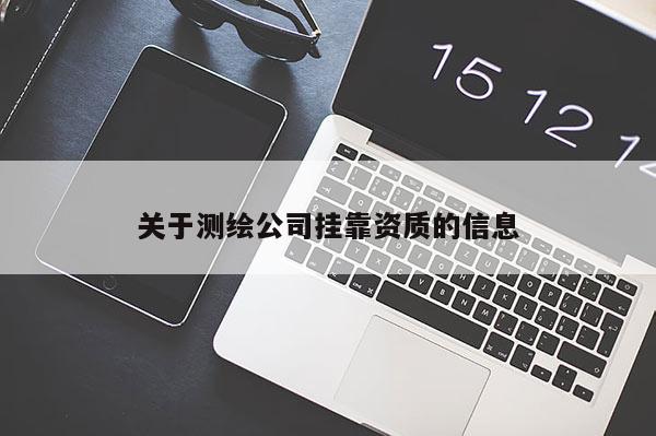 關于測繪公司掛靠資質的信息