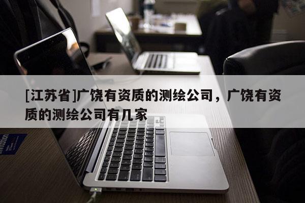 [江蘇省]廣饒有資質的測繪公司，廣饒有資質的測繪公司有幾家
